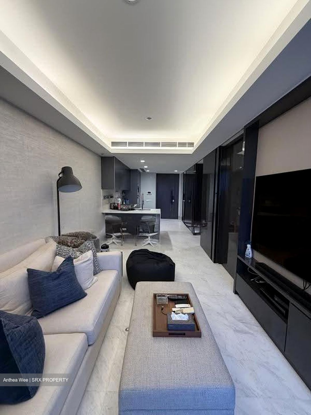 Cairnhill Nine (D9), Apartment #610392691